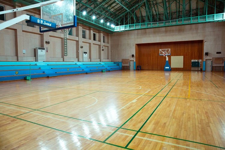 Court image